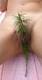 Private Photo of armony_37
