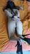 unico padrone # tua schiava fedele