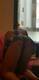 My ass