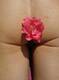 fiore