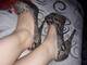 Private Photo of saretta91x