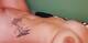 Guarda il tatuaggio...