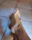 Piedi con smalto rosso