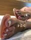 Piedi