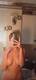 Private Photo of alexandracat