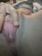 Private Photo of Giulia0069