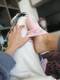 Feet strip