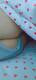 Sedere