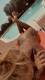 Private Photo of Blondy40