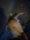 Private Photo of Blondy40