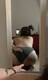 Private Photo of Giorgia_18