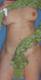 Foto privata di poppeasex
