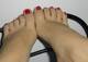 piedi