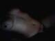 Private Photo of NinFa_SeXy_