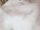 Private Photo of Pisi69