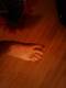 Private Photo of dolcele