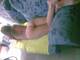 culotte